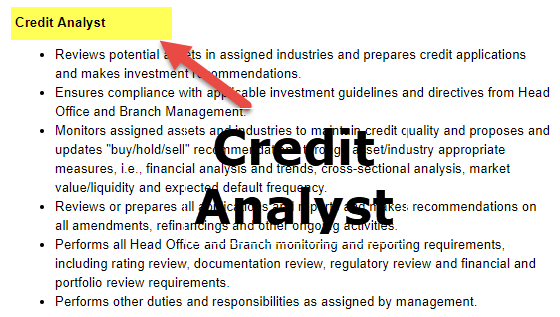 credit analyst